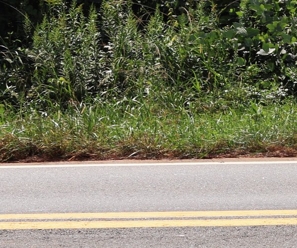 09182025TRATON HOMES