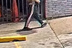 10172025ENTERING AUTOS