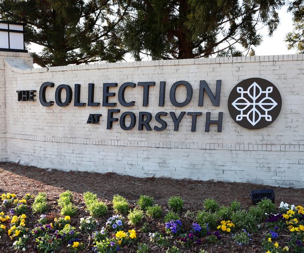 03032026THE COLLECTION'S NEW LEASES