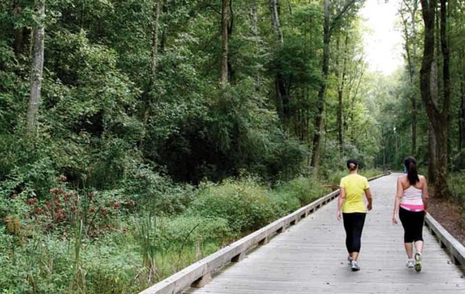 greenway