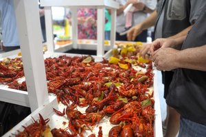 03092026RED WHITE AND BAYOU