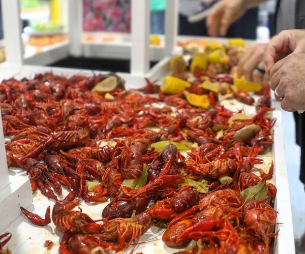 03092026RED WHITE AND BAYOU