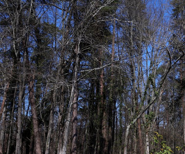 03132026INVESTIGATION