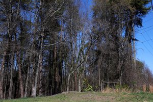 03132026INVESTIGATION