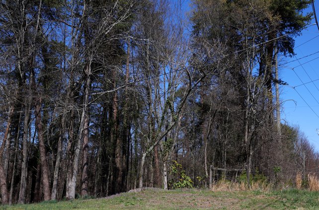 03132026INVESTIGATION