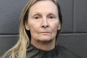 03232026PET SITTER ARRESTED