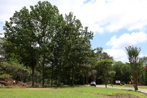 08142025SHILOH PRESERVE