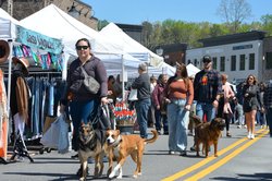 04092026SPRING MARKET PREVIEW