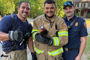 04272026 KITTEN RESCUED