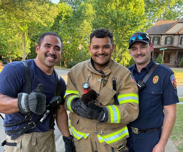 04272026 KITTEN RESCUED