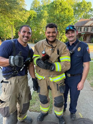 04272026 KITTEN RESCUED