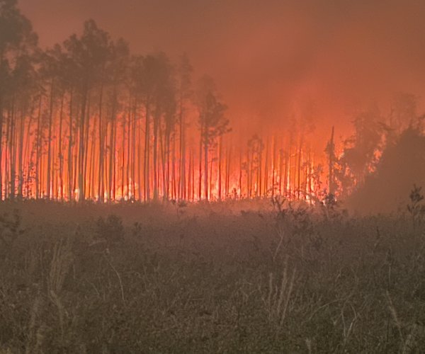 04282026WILDFIRE DONATIONS