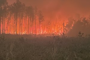04282026WILDFIRE DONATIONS