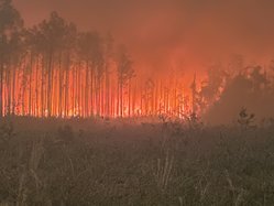 04282026WILDFIRE DONATIONS