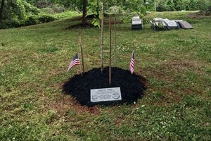 05052026LIBERTY TREE
