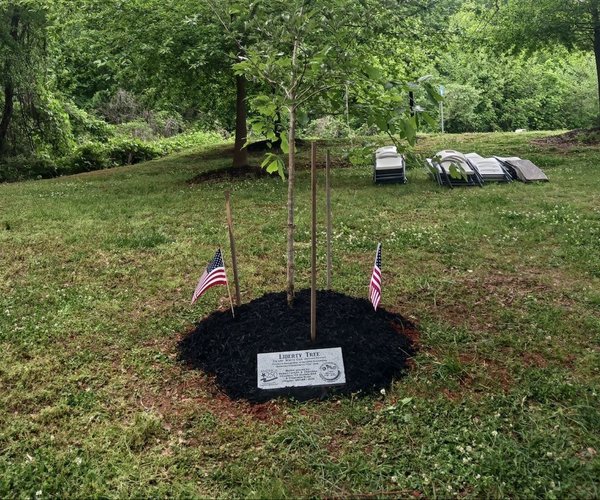 05052026LIBERTY TREE