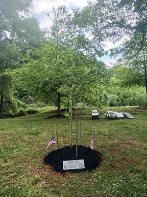 05052026LIBERTY TREE