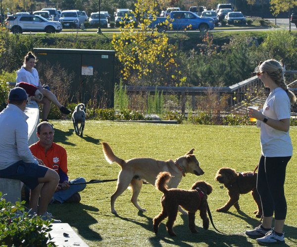 05122026WOOFSTOCK PREVIEW