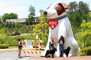 05162026WOOFSTOCK