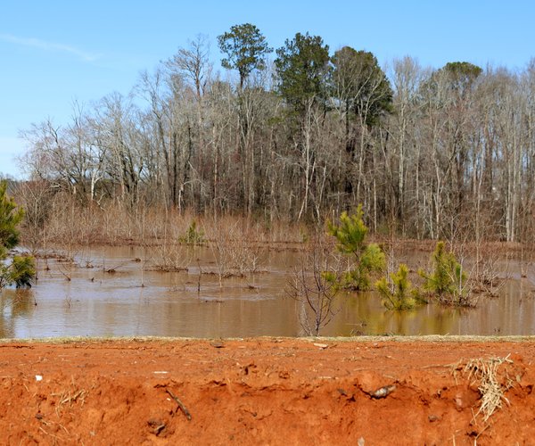 02132025BIG CREEK FLOODING