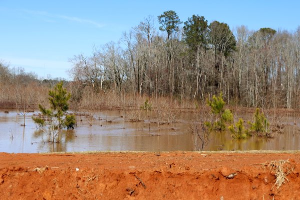 02132025BIG CREEK FLOODING