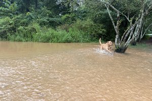 07242026FLASH FLOOD