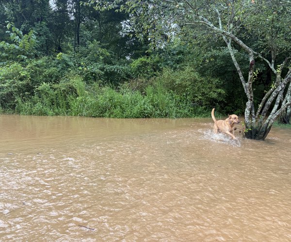 07242026FLASH FLOOD