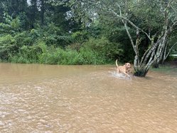 07242026FLASH FLOOD