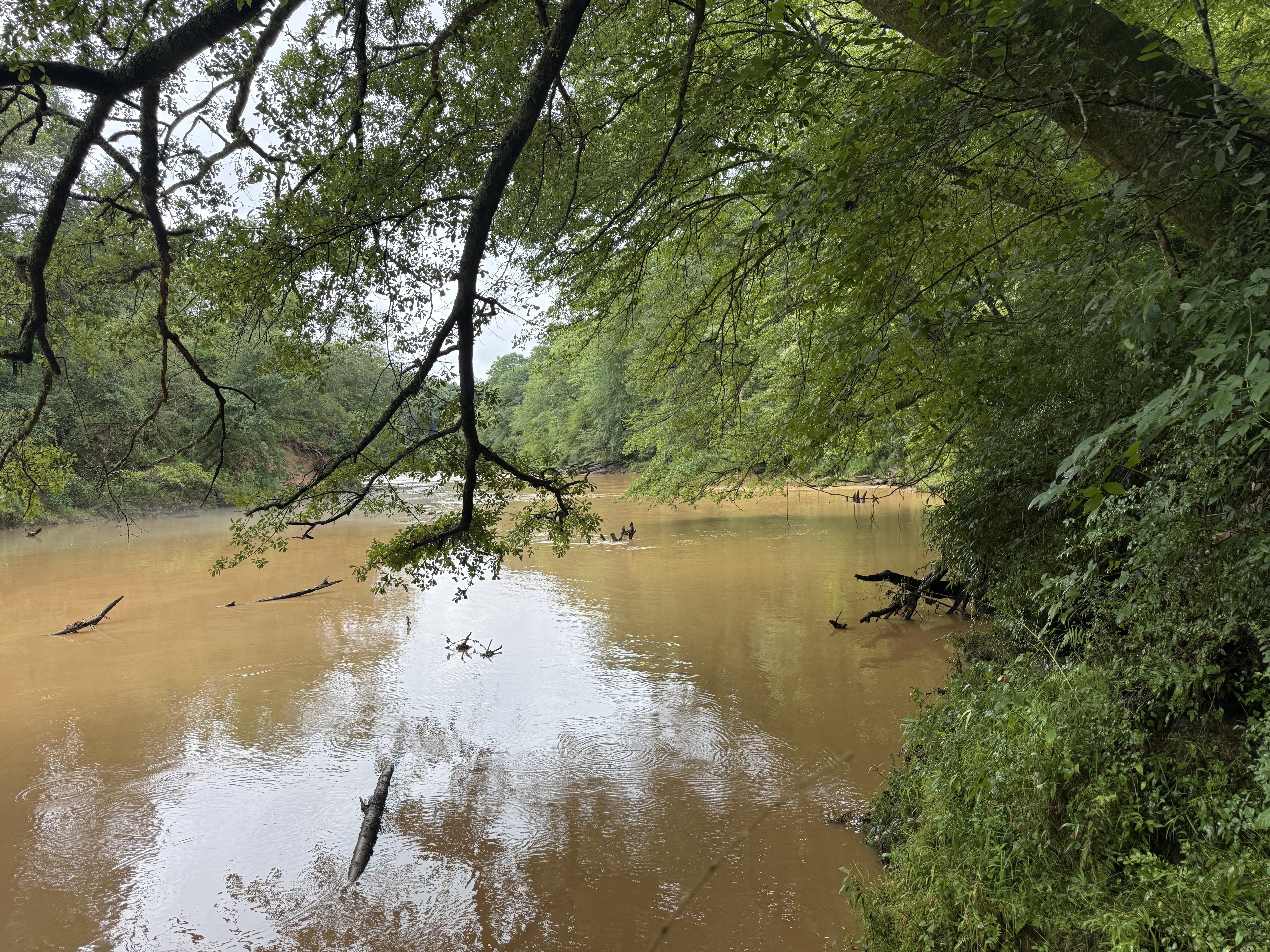 07242026FLASH FLOOD
