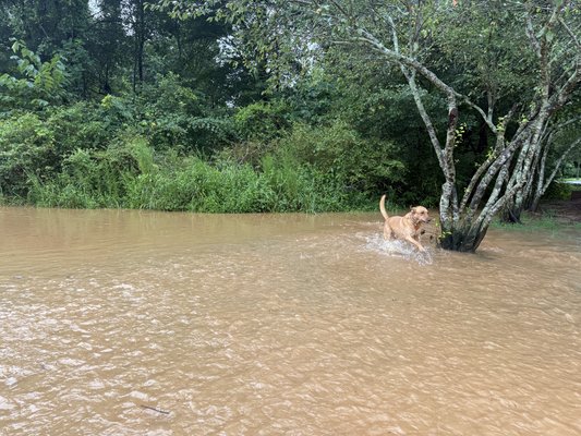 07242026FLASH FLOOD