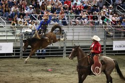 08292025RODEO