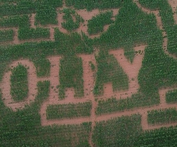 08262026 DOLLY.jpg