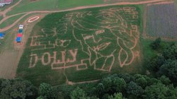 08262026 DOLLY.jpg