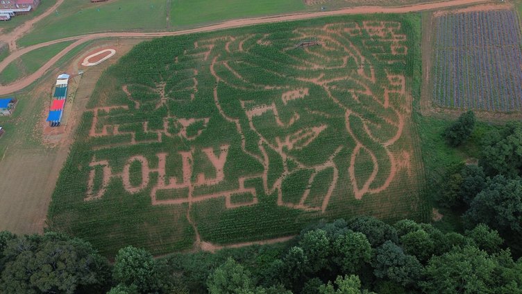 08262026 DOLLY.jpg