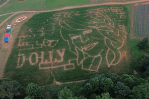 08262026 DOLLY.jpg