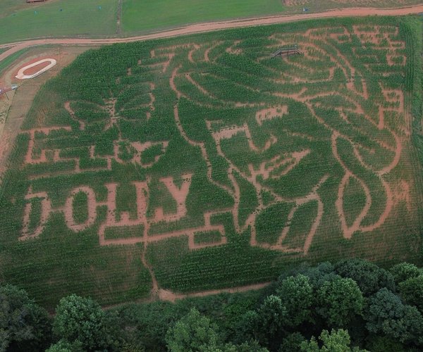 08262026 DOLLY.jpg