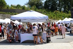 09192026FALL MARKET
