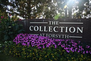 10222024THE COLLECTION