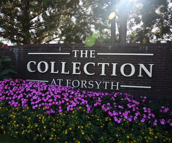 10222024THE COLLECTION