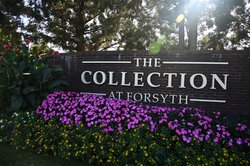 10222024THE COLLECTION