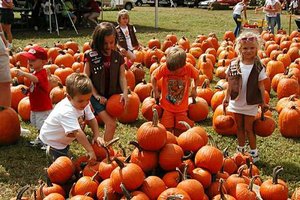 10062026PUMPKIN PATCH
