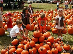 10062026PUMPKIN PATCH